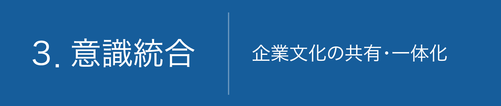 3.意識統合 企業文化の共有・一体化