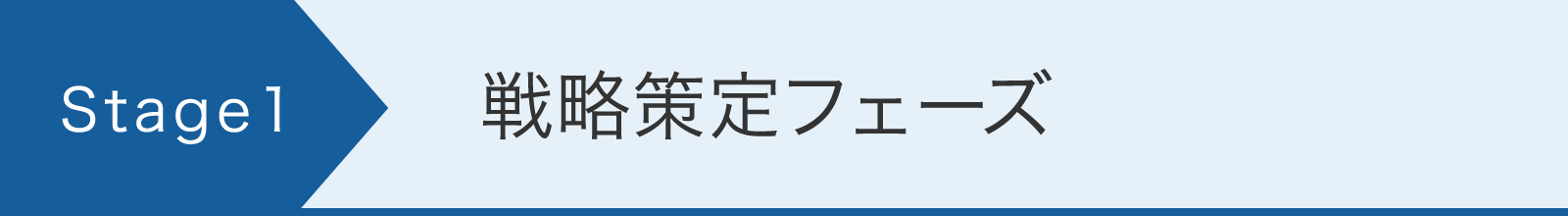 1.戦略策定フェーズ