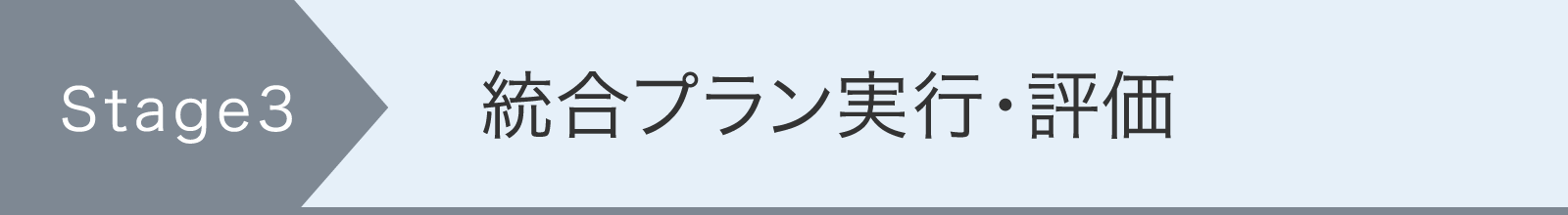 3.統合プラン実行・評価