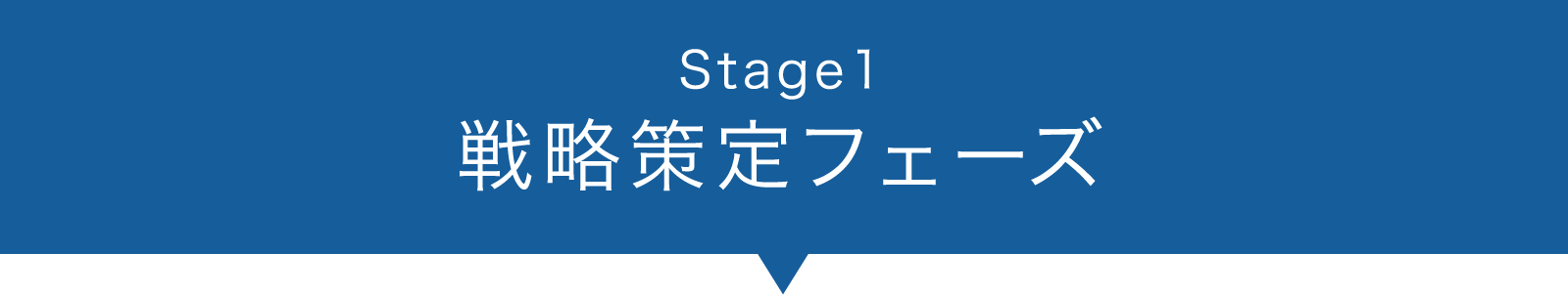 step1.戦略策定フェーズ