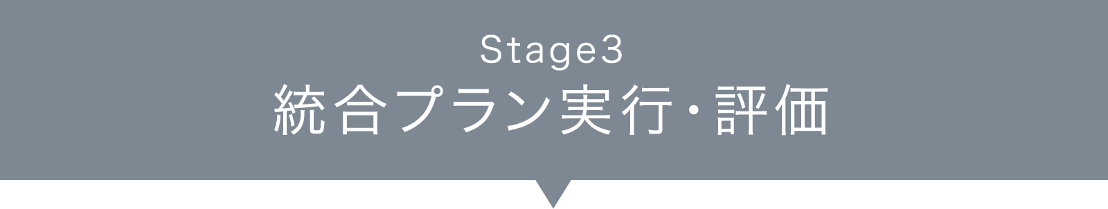 step3.統合プラン実行・評価